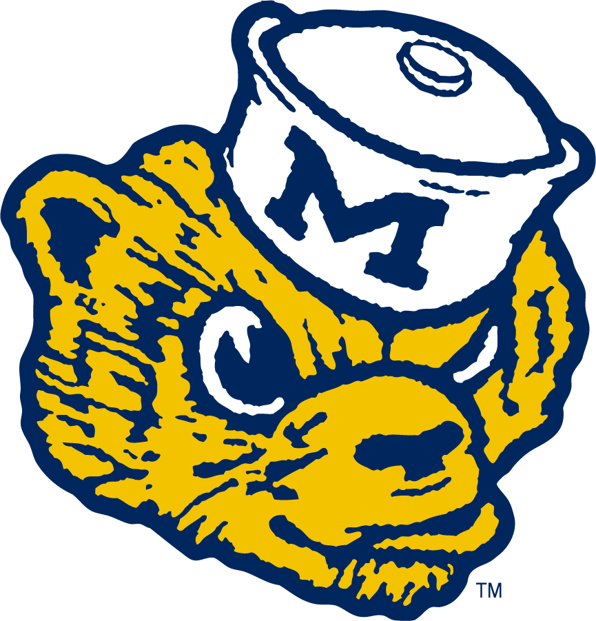 Michigan Wolverines 2016-Pres Throwback Logo diy iron on heat transfer...